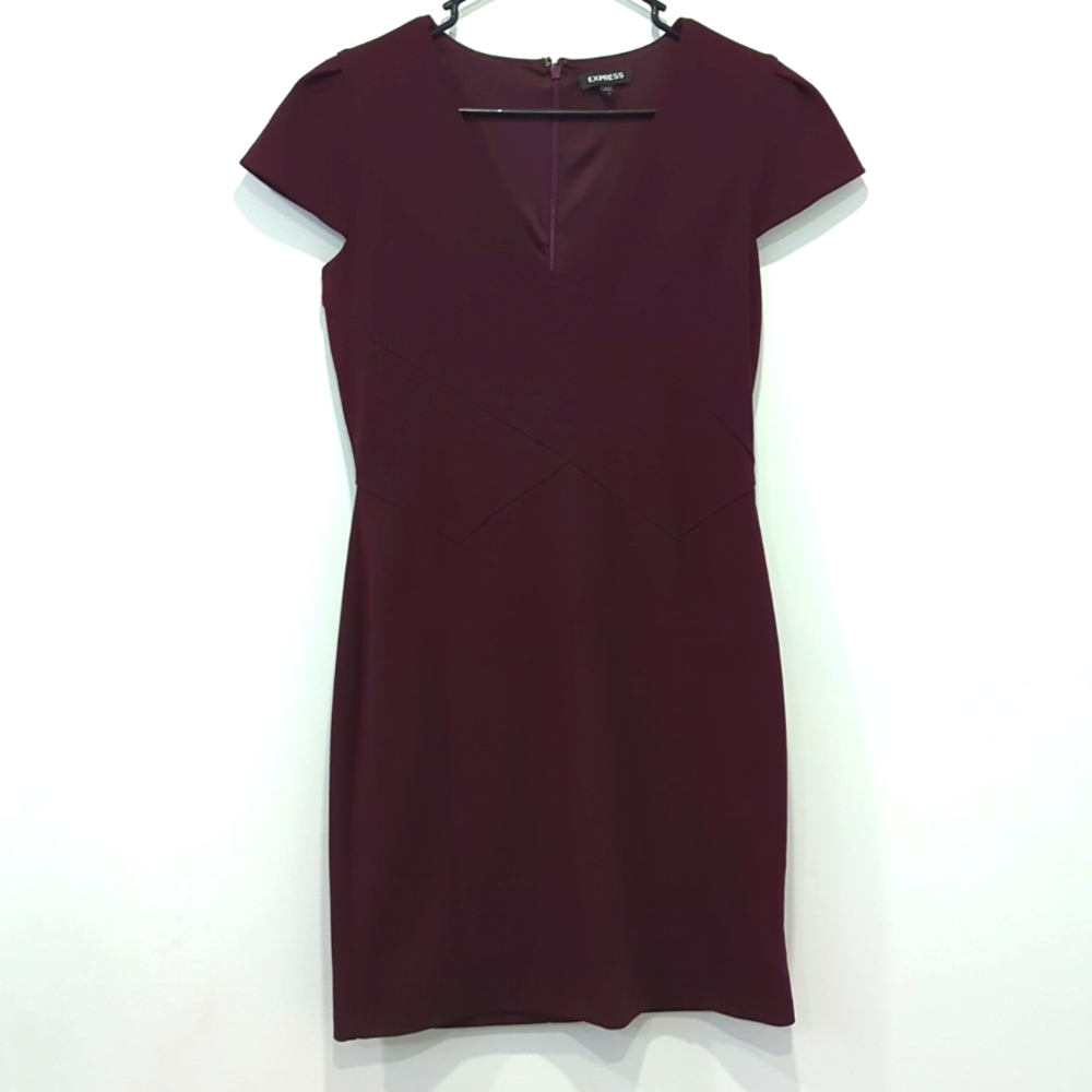 Express Ladies Formal Dress